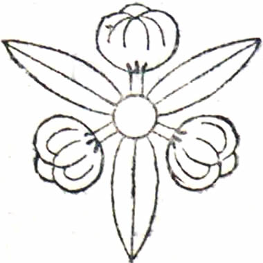 三つ寄せ茶の実