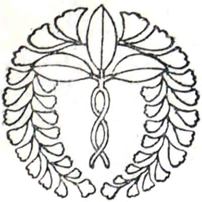 仏光寺藤（２）