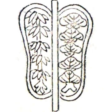 軍配団扇に松竹