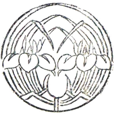 抱き杜若（３）