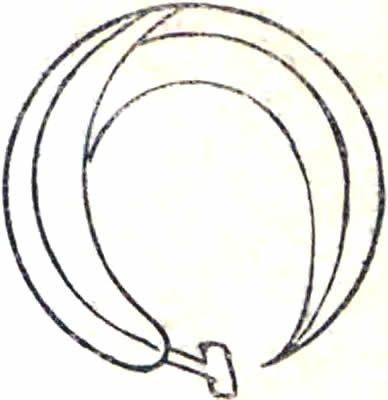 一つ梛の葉・一つ梛の葉丸（２）