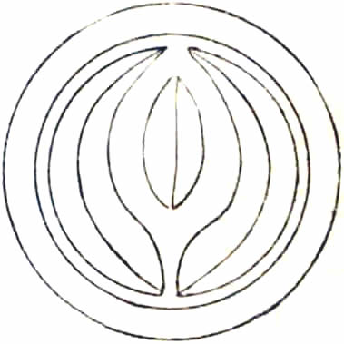 丸に二つ梛の葉（２）