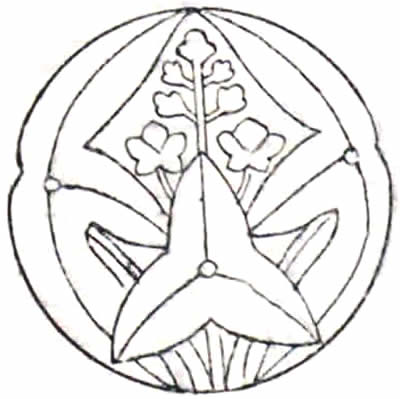 子持ち葉抱き沢瀉