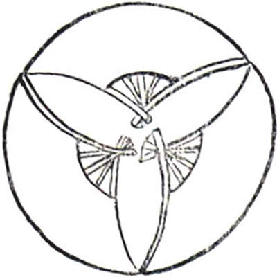 三つ開き中啓の丸・三つ反り扇