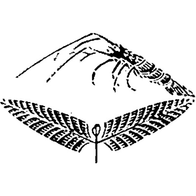 海老にほなが〔海老に穂長〕