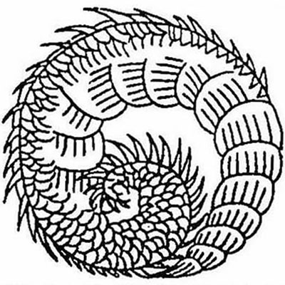 竜の尾巴／龍の尾巴