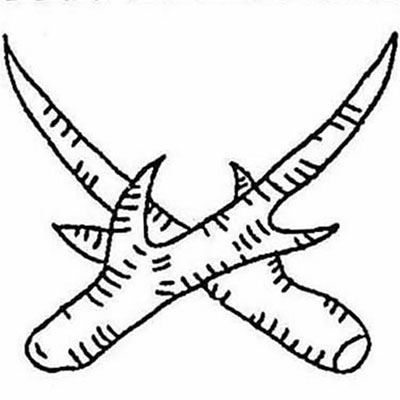 違い竜の角／違い龍の角