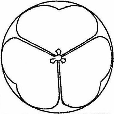 石持ち草の片喰