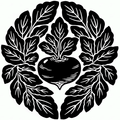 抱き蕪の葉に蕪