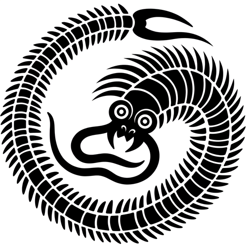 百足の丸（３）