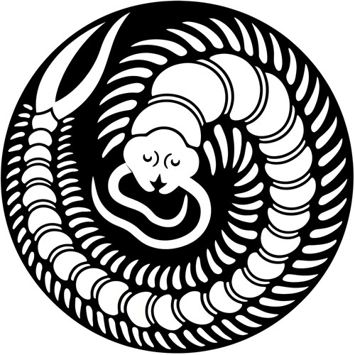 石持ち地抜き百足の丸（３）