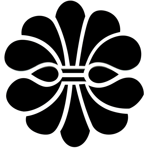 変わり結綿（４）