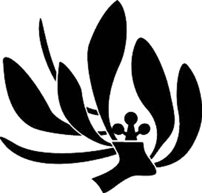 蘭蝶・飛び蘭蝶（２）