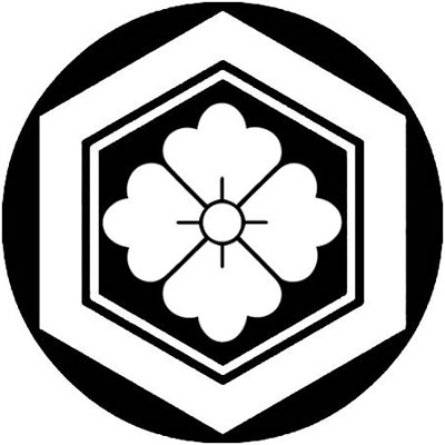 石持ち地抜き亀甲に四方花菱