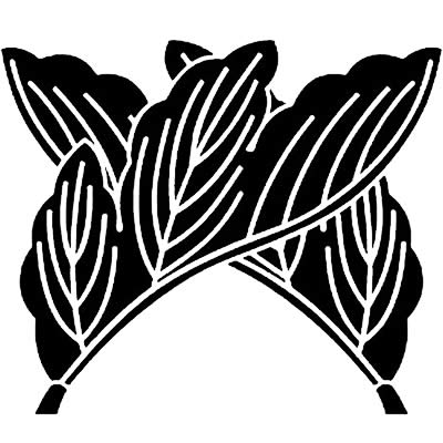 違い割り菊の葉