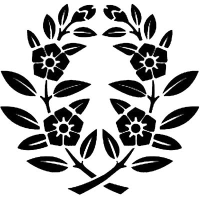 違い枝桔梗（２）