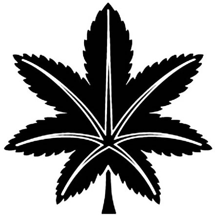 楓・一つ楓（２）