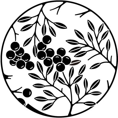 南天枝丸（２）