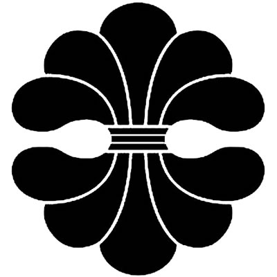 変わり結綿（２）