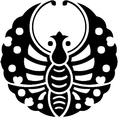 鎧蝶（２）